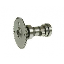 Ax cu came GY6 50-60-80cc