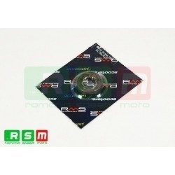 Semering Piaggio 19x30x7/RMS 1600