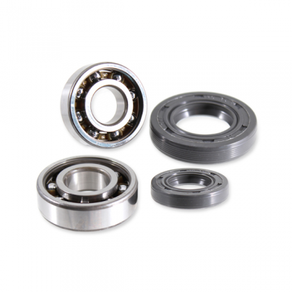 Kit rulmenti SKF ambielaj Derbi 50cc/RMS 0565